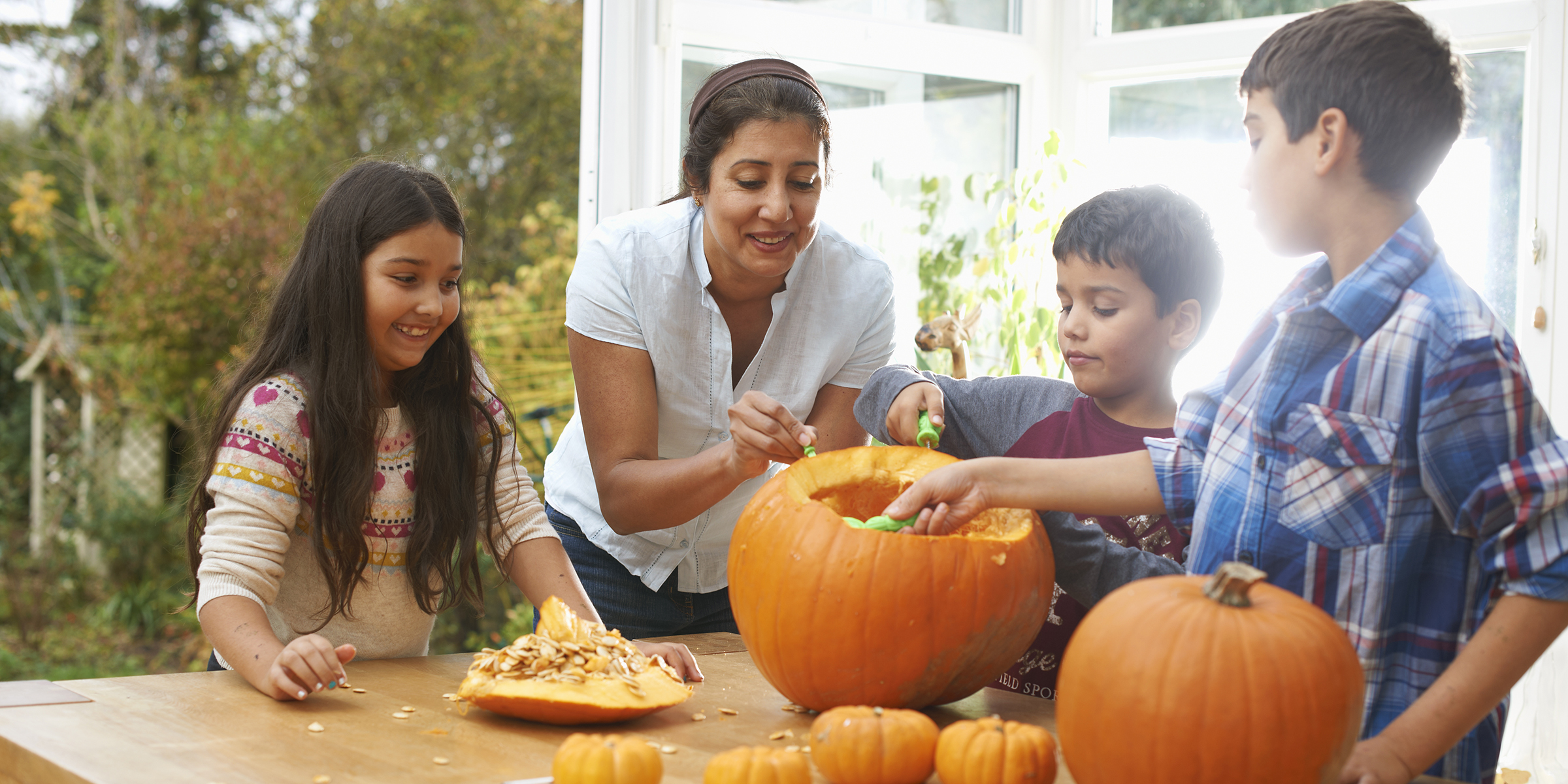 Give Your Pumpkins a Second Life