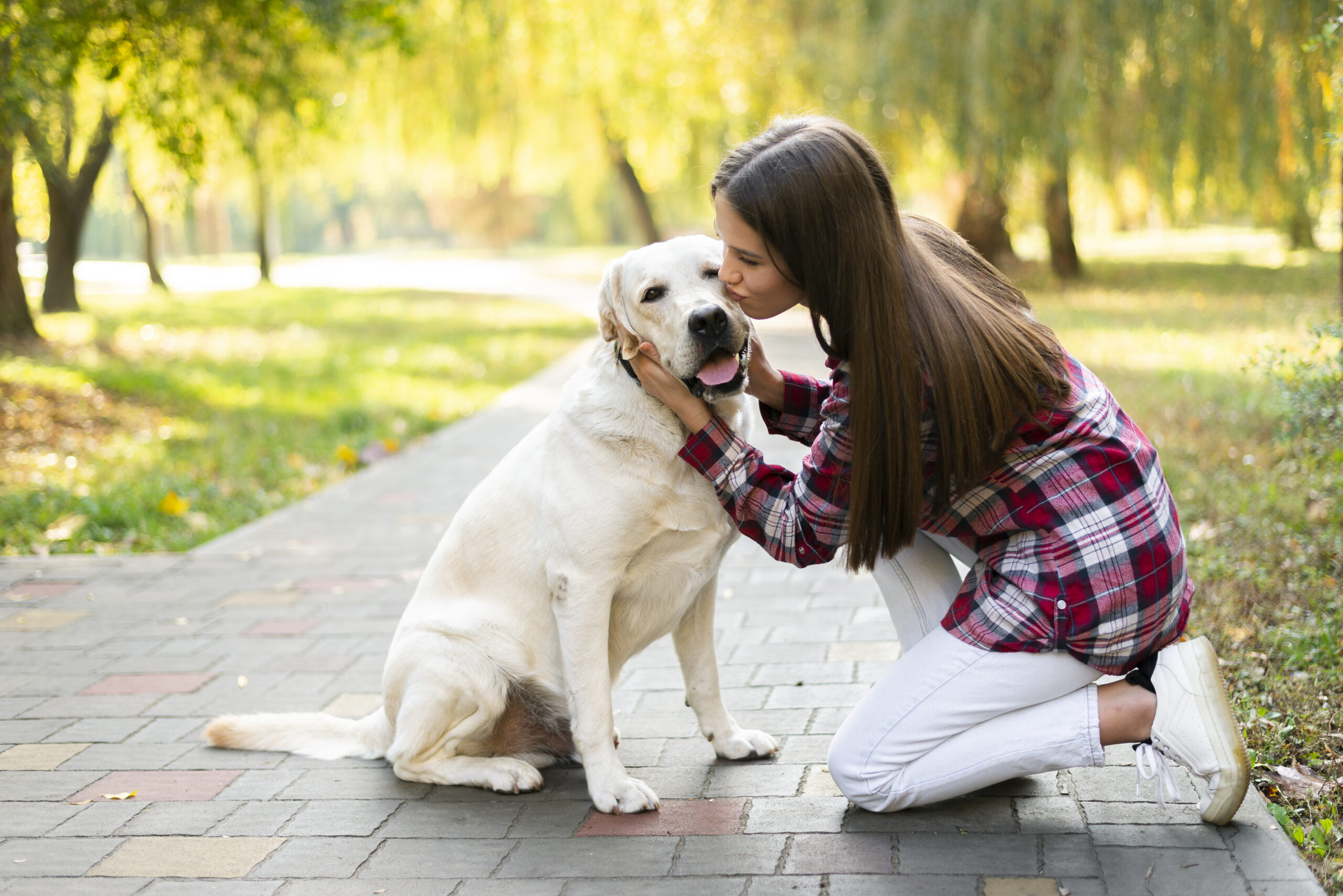 Caring for Senior Dogs