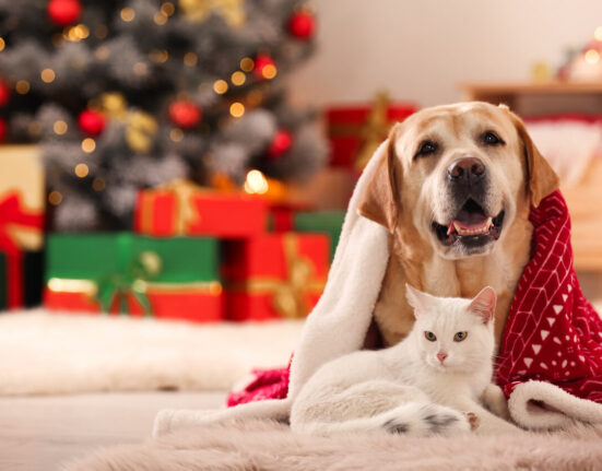 Pet Safety Tips for a Merry Christmas